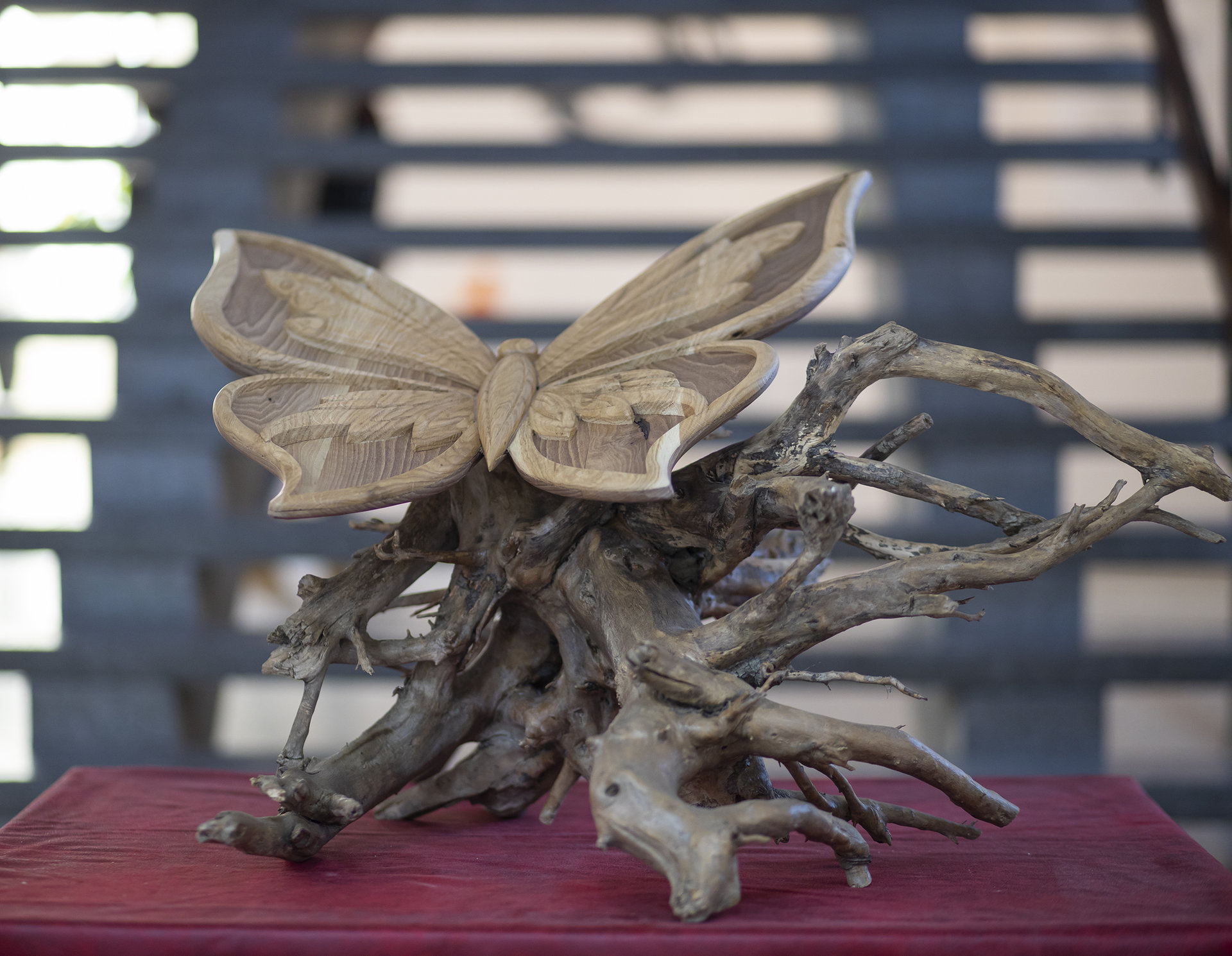 IZLOŽBA KOREN. KRILA - Galerija Škole primenjenih umetnosti &nbsp;&nbsp;[×]